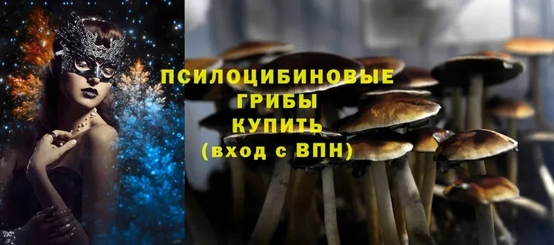 Галлюциногенные грибы Psilocybe  Демидов 